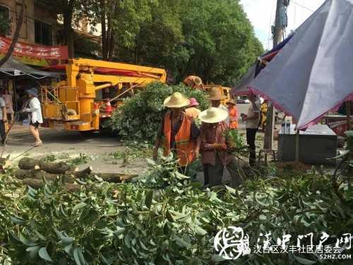 漢中市區(qū)一棵10米大樹突然傾倒，刮倒高壓線，所幸無人傷亡