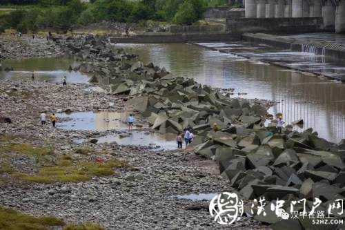 汛期漢中三號橋河灘撈魚，真的沒有危險嗎？