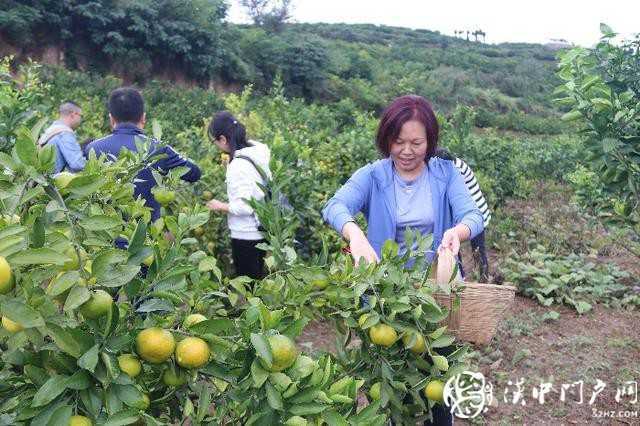 漢中市醫(yī)保局聯(lián)合開展消費(fèi)扶貧和團(tuán)隊(duì)建設(shè)活動(dòng)