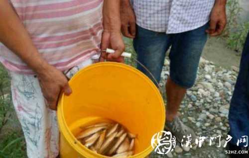 三人在河道非法電魚，被寧強民警抓個正著