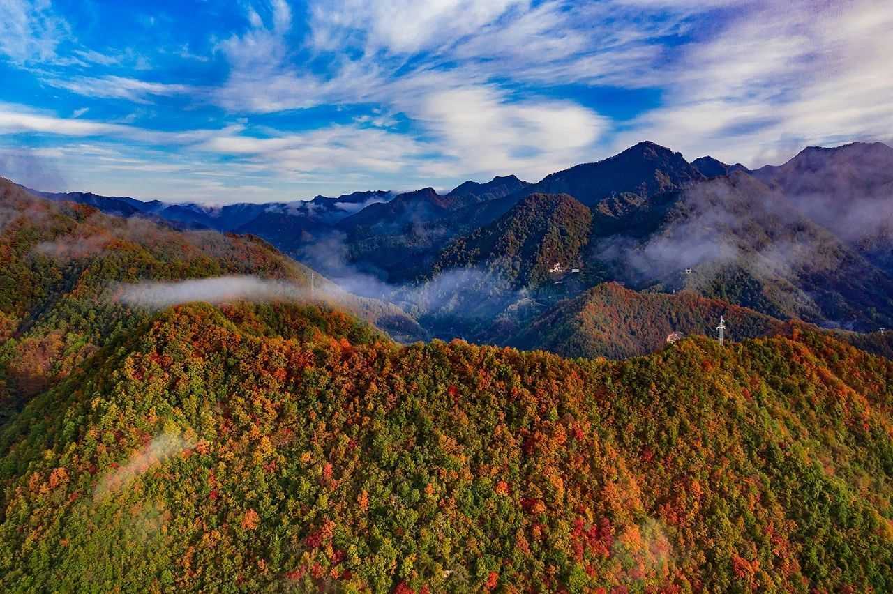 陜西留壩縣:一場紅葉盛宴的絕美樂章拉開帷幕