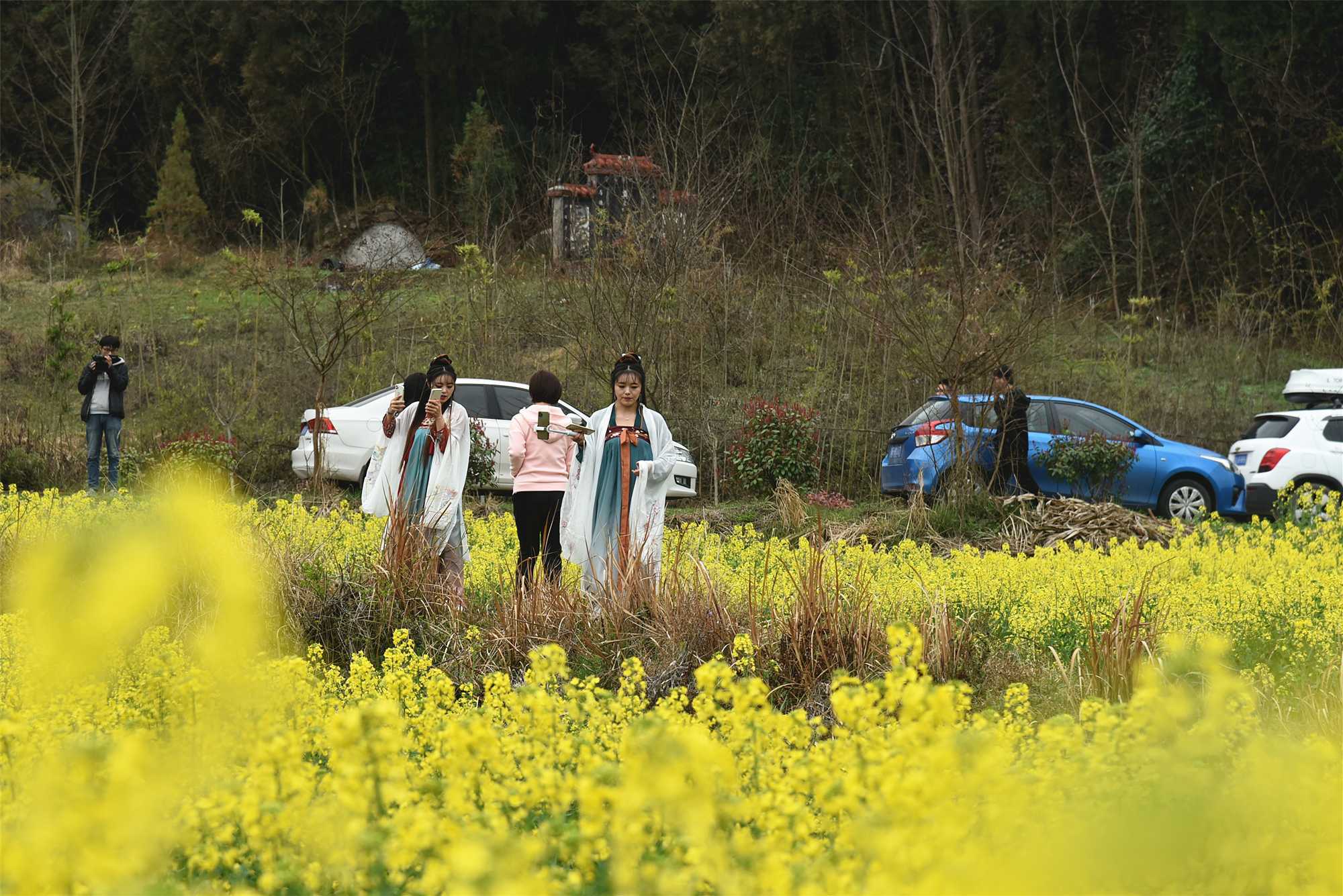 “2021中國最美油菜花海·漢中旅游文化節”南鄭分會場啟幕