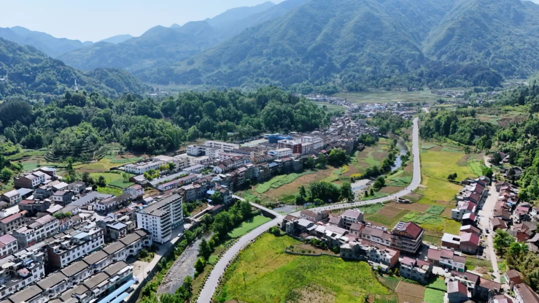 西鄉縣高川鎮第三屆“生態茶鄉·高川味道”茶事活動精彩紛呈！