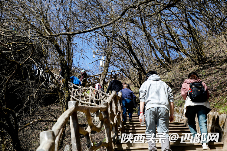 生態(tài)高顏值·發(fā)展高質(zhì)量｜云端仙境 四季可賞 漢中龍頭山風(fēng)光無(wú)限好