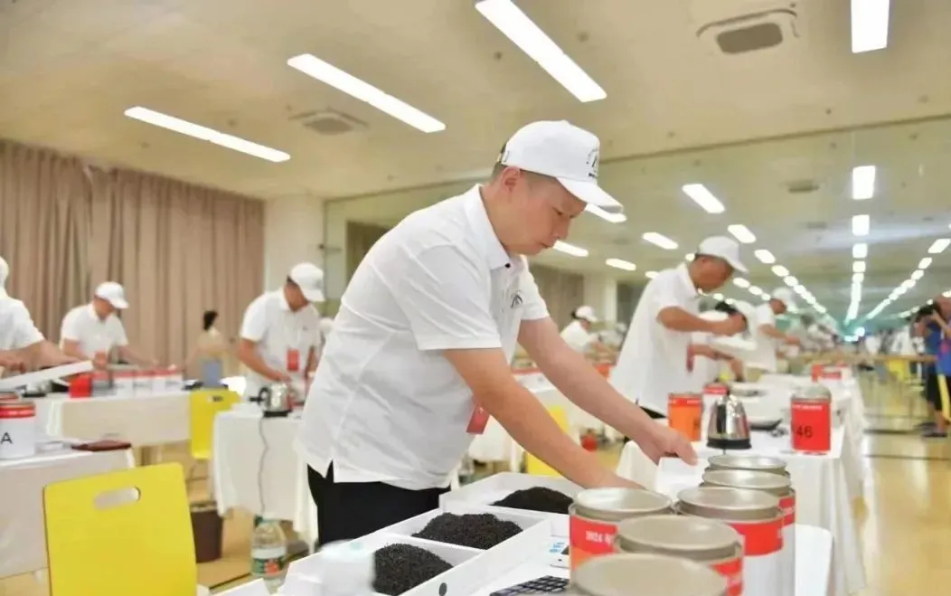 漢中3人獲全國茶葉加工大賽三等獎