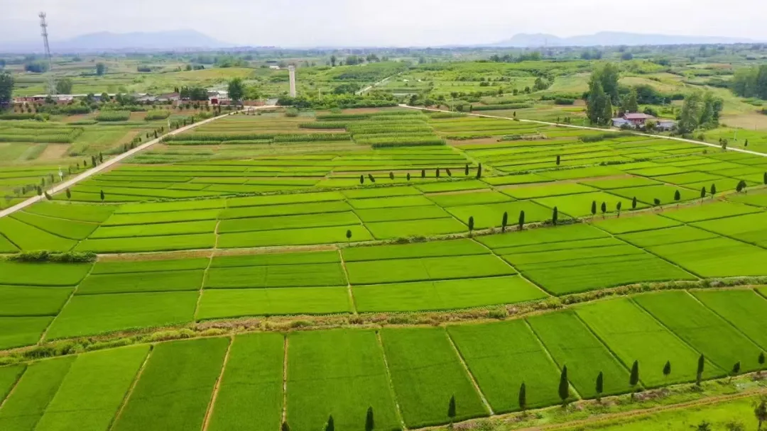 漢臺(tái)區(qū)徐望鎮(zhèn)：繪就鄉(xiāng)村和美畫(huà)卷