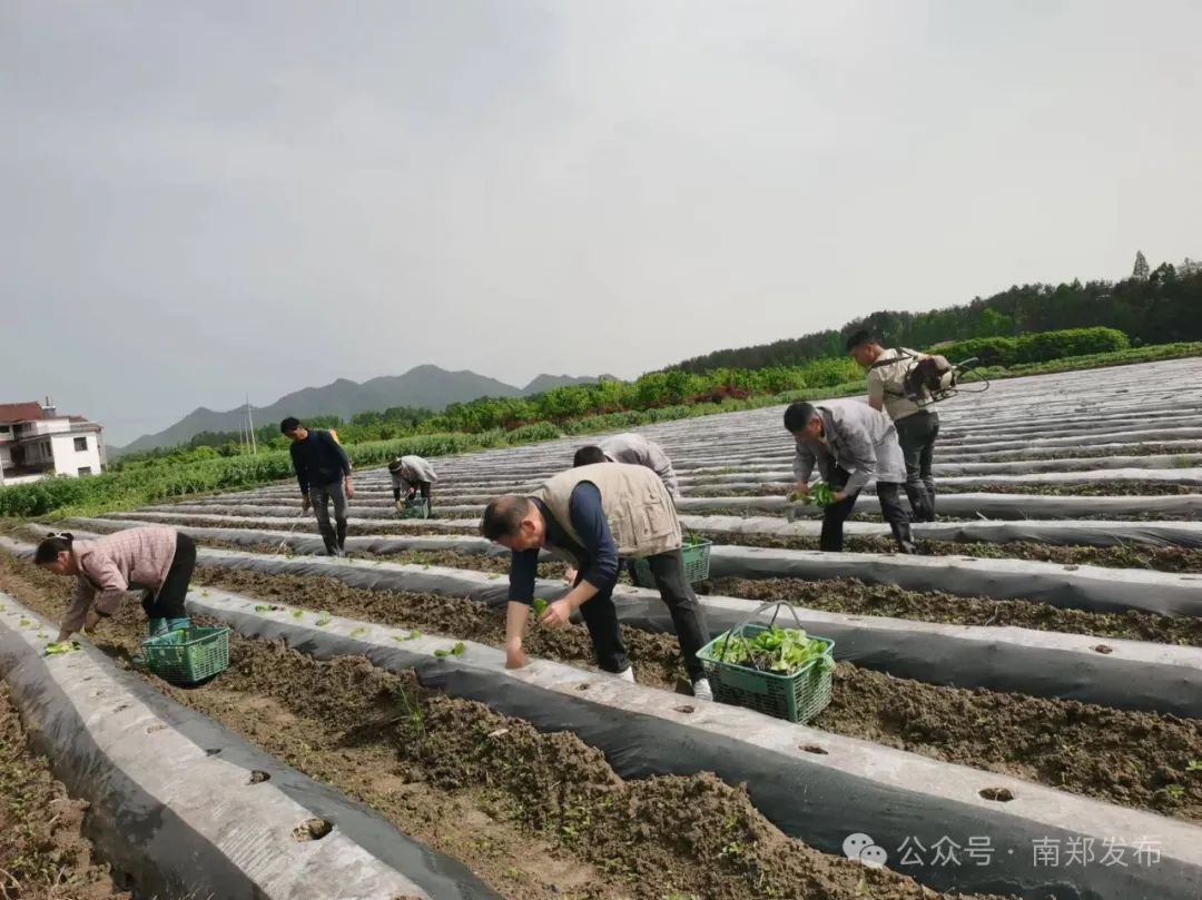 漢中這些地方，藏著令人向往的滿分初夏時光！