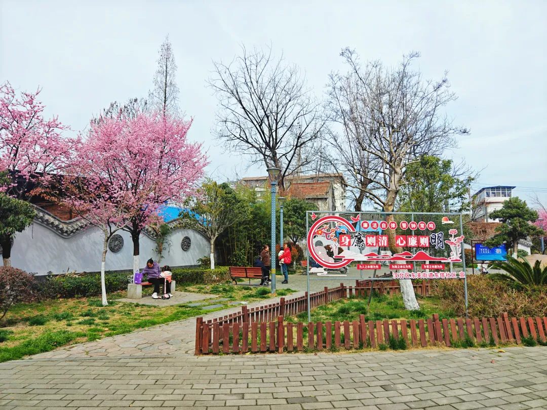 口袋公園：靚了城市，美了生活，暖了人心