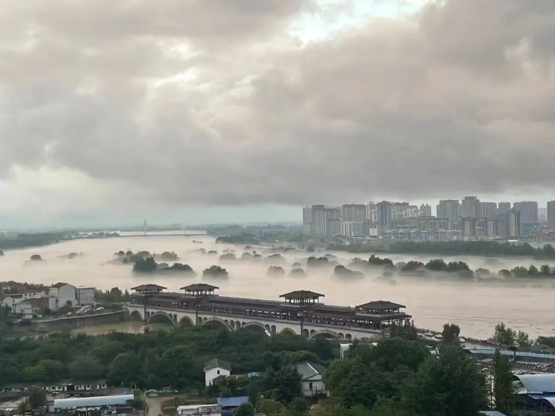 視覺(jué)漢臺(tái) | 煙雨朦朧 油畫(huà)漢臺(tái)