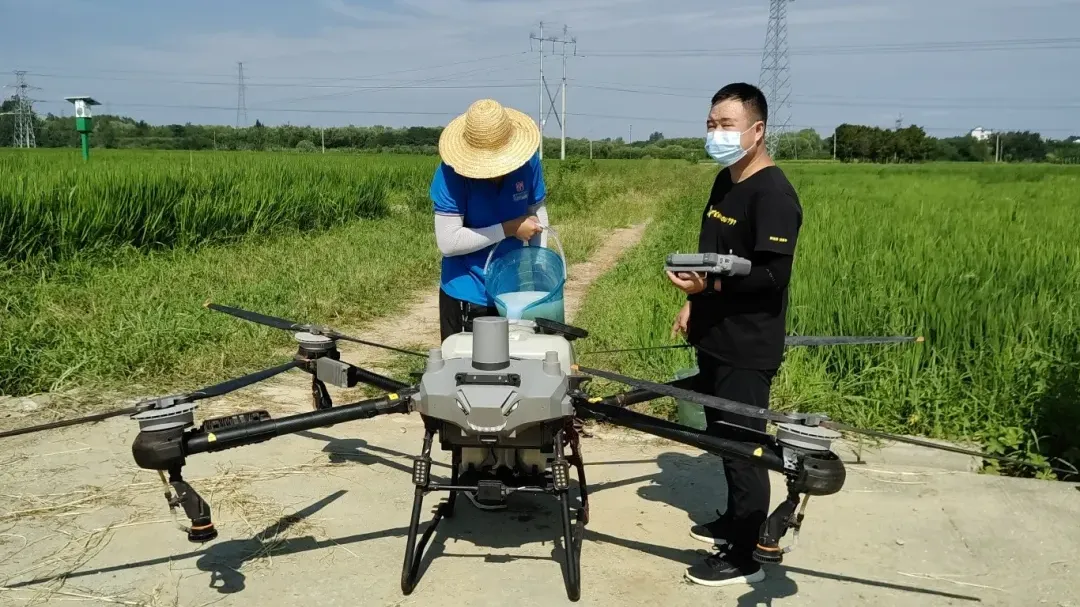 漢臺：5萬余畝稻田完成無人機“飛防”作業