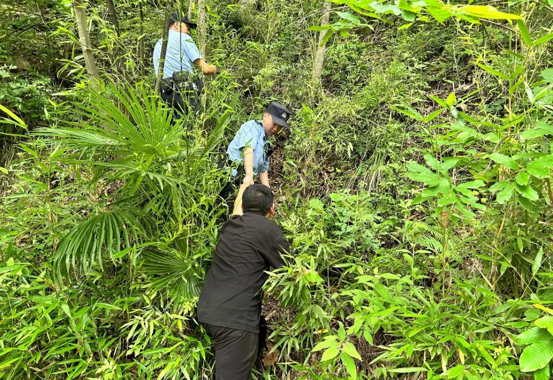 小伙任性離家出走，漢中民警深山尋回