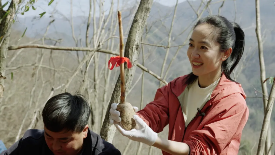 央視財經關注！看漢中如何探索鄉村振興之路→